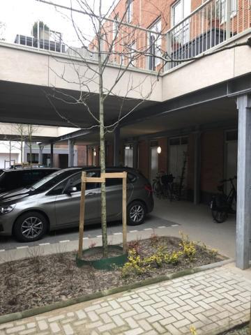 Benb Op De Trans, Arnhem Op Zijn Best! المظهر الخارجي الصورة